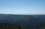 2009_0525_ 480