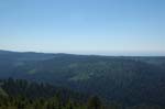 2009_0525_ 481