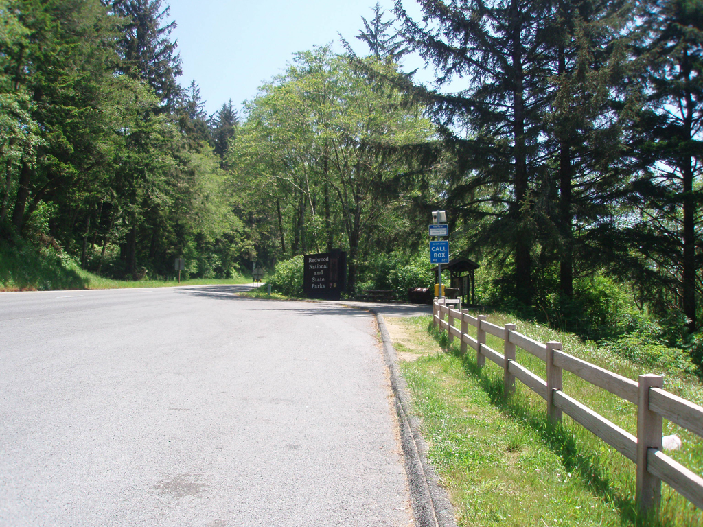 2009_May_RedWoods_ 003