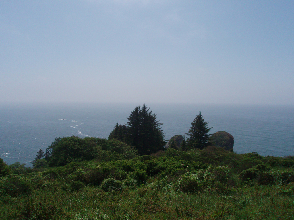 2009_May_RedWoods_ 017