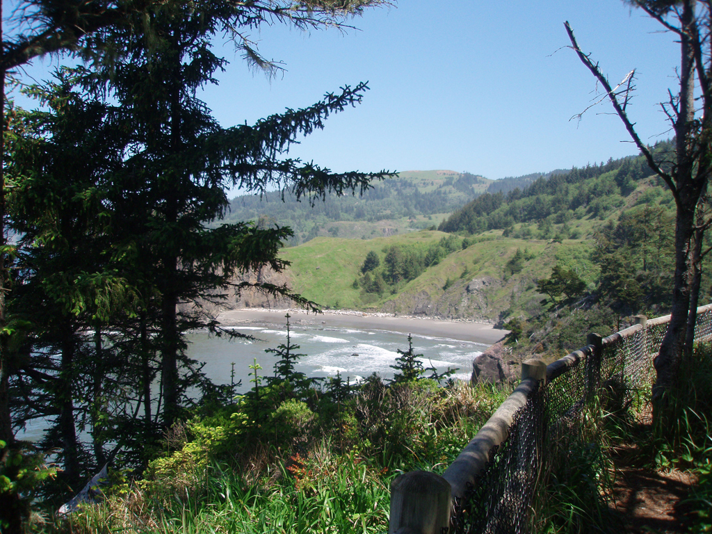 2009_May_RedWoods_ 191