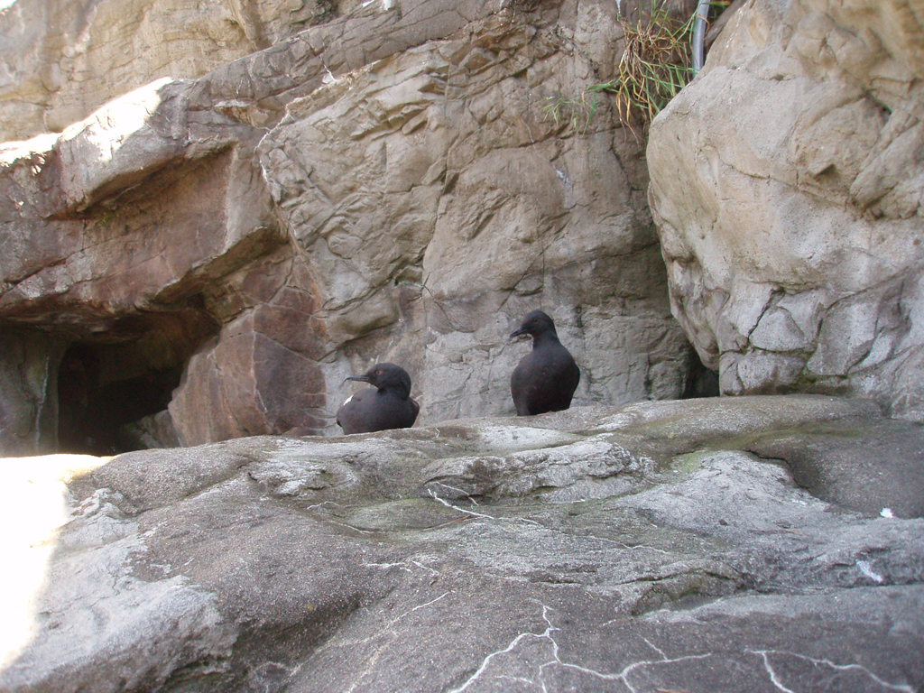 2009_May_RedWoods_ 236