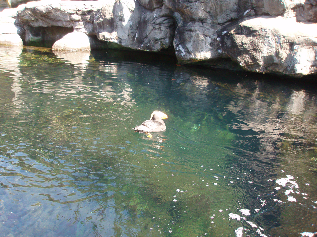 2009_May_RedWoods_ 237