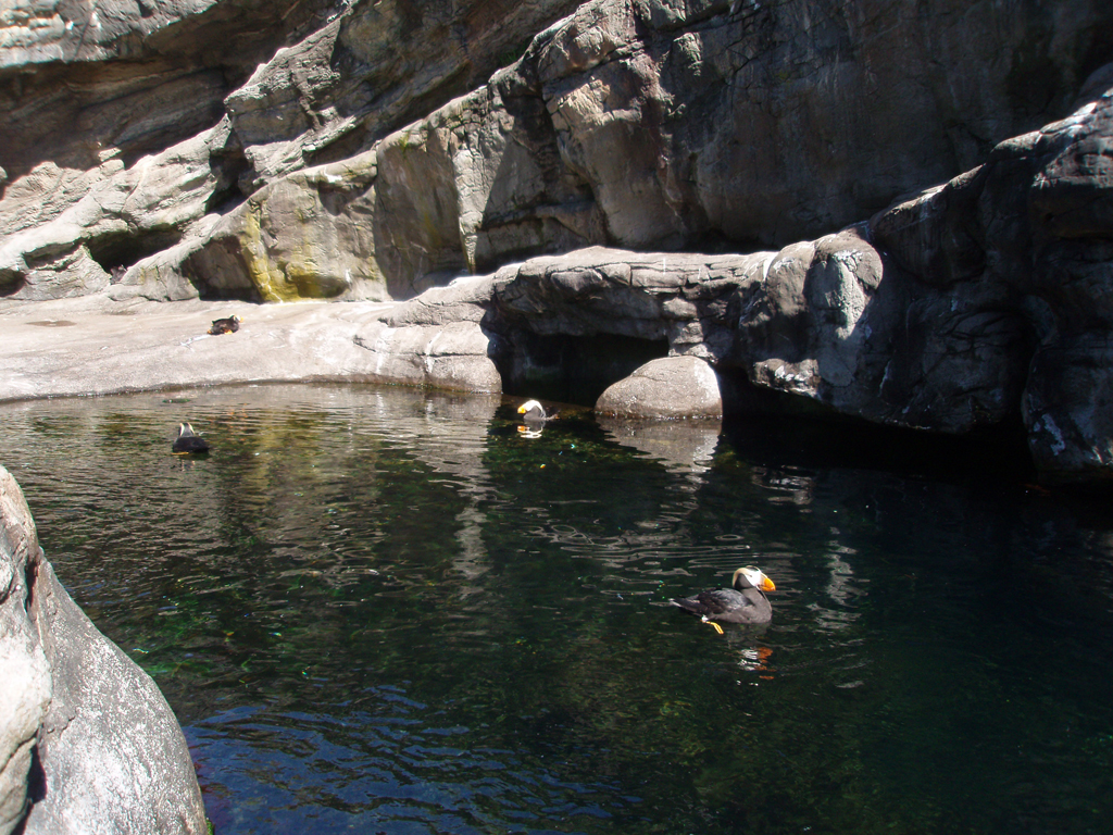 2009_May_RedWoods_ 238
