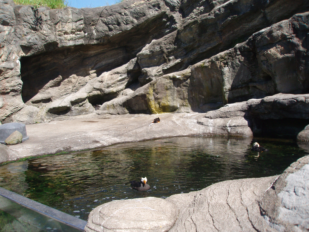 2009_May_RedWoods_ 239