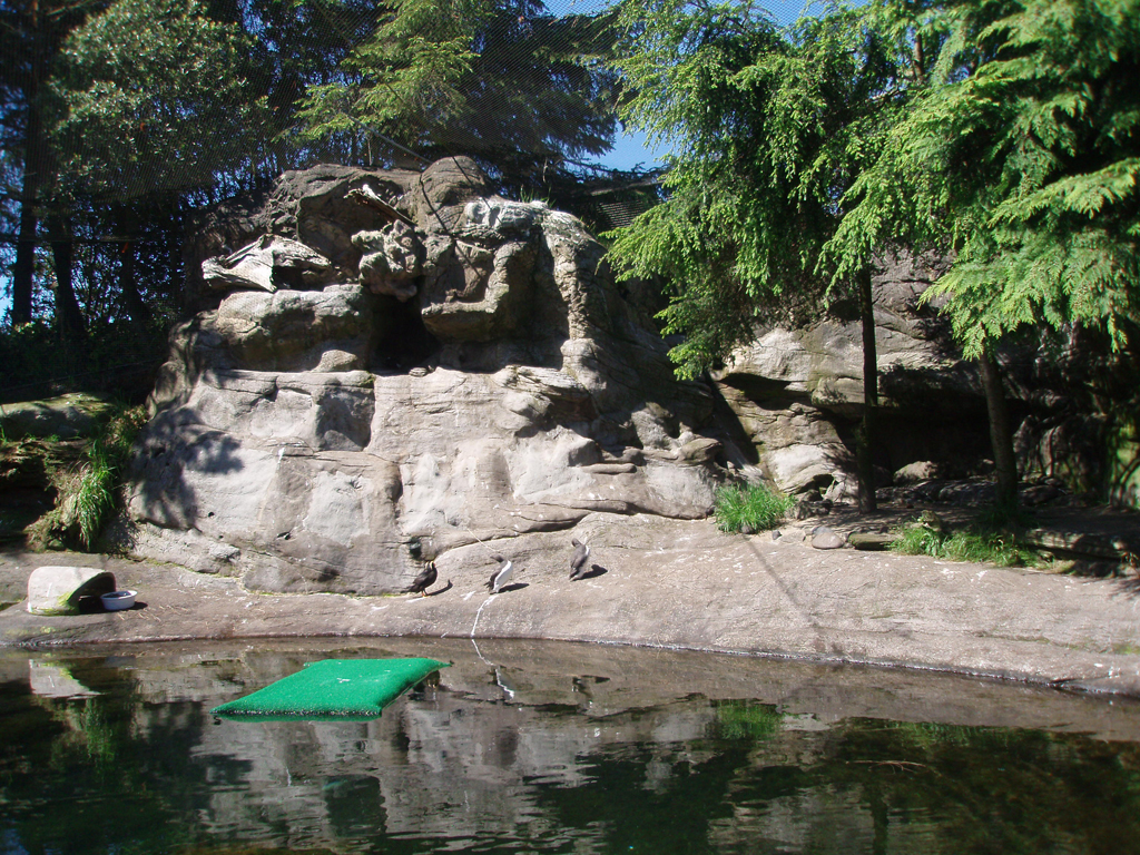 2009_May_RedWoods_ 240