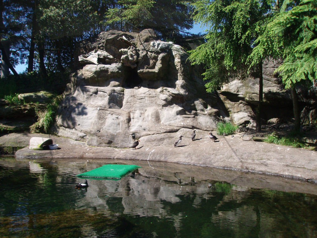 2009_May_RedWoods_ 241