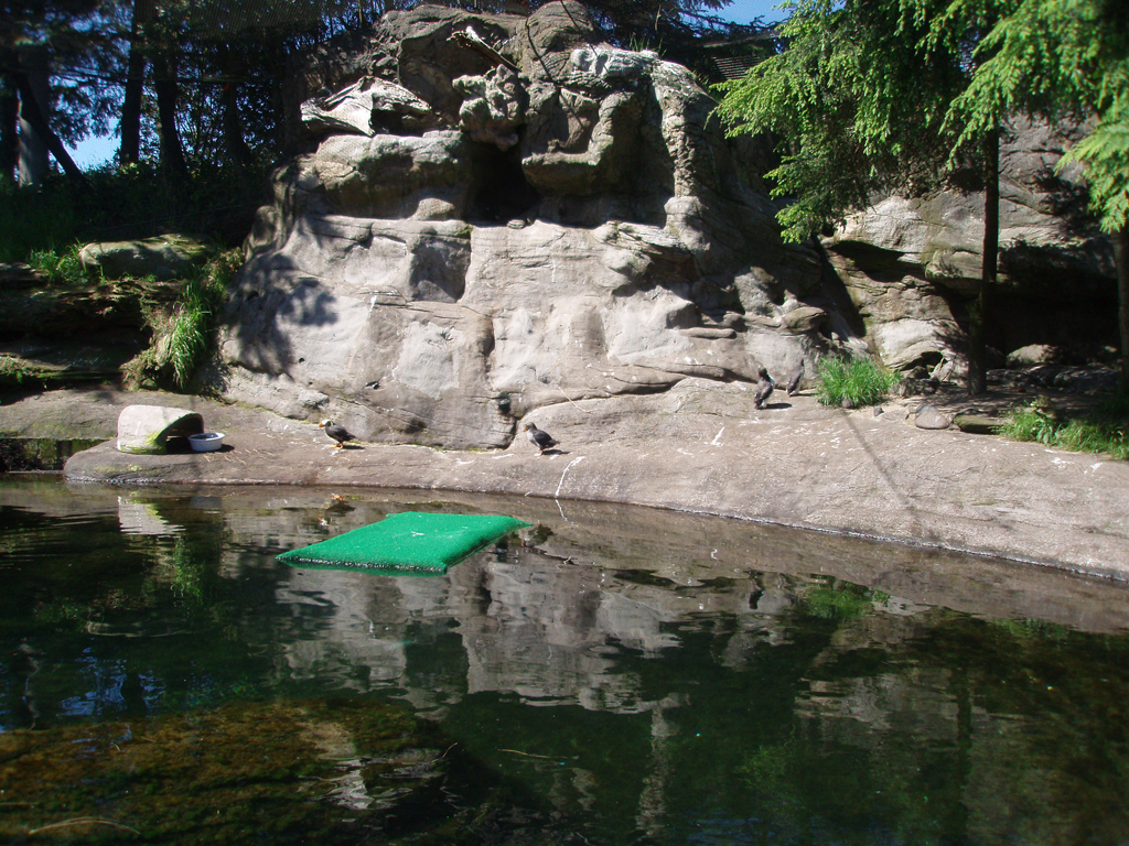 2009_May_RedWoods_ 242