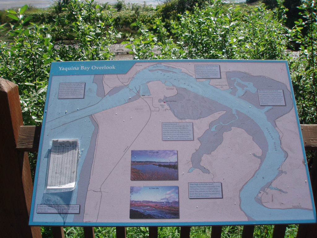 2009_May_RedWoods_ 249