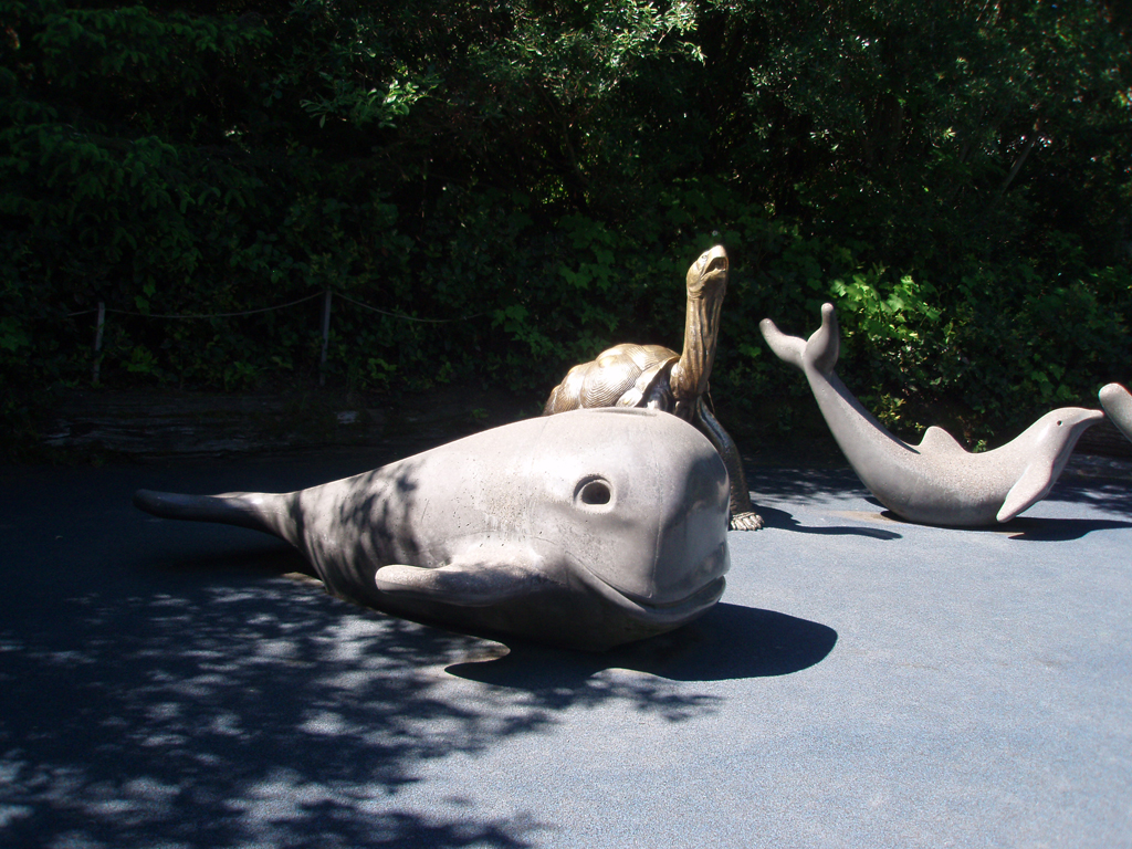 2009_May_RedWoods_ 250