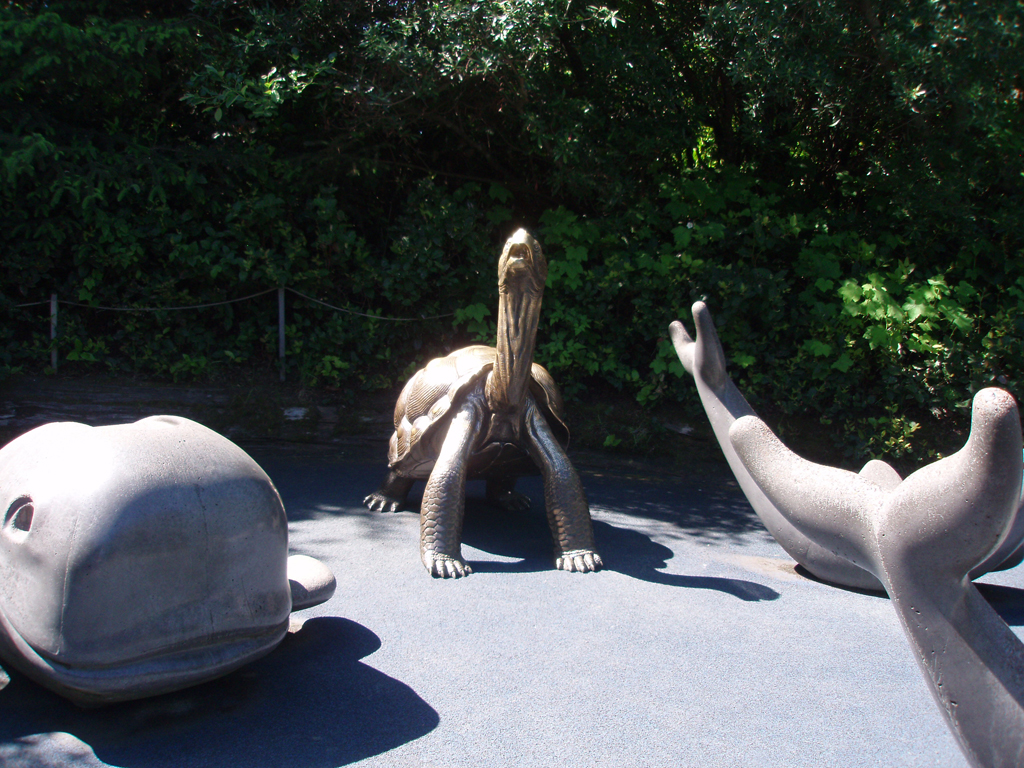 2009_May_RedWoods_ 251