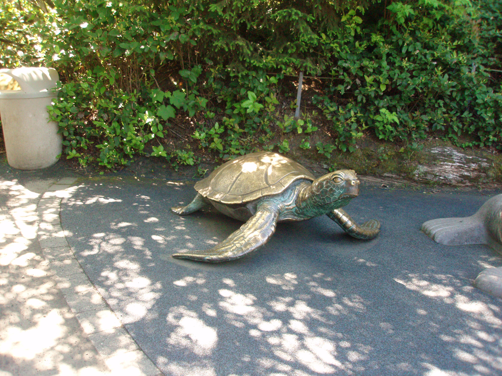 2009_May_RedWoods_ 252
