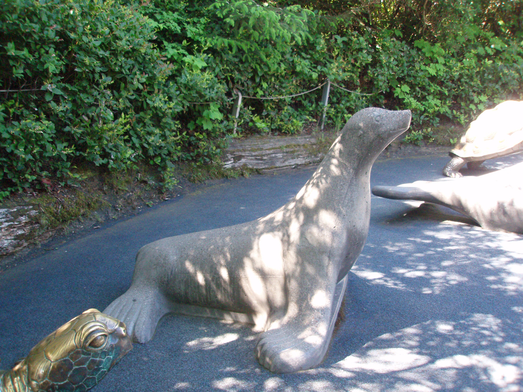 2009_May_RedWoods_ 253