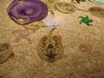 2009_May_RedWoods_ 226