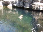 2009_May_RedWoods_ 237
