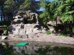 2009_May_RedWoods_ 240