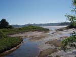 2009_May_RedWoods_ 246