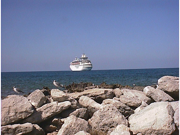 cruise99130