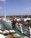 cruise99106