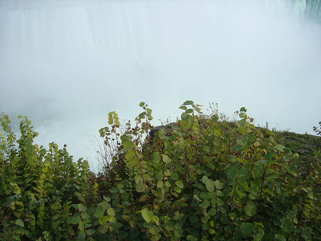 falls_oct05_080