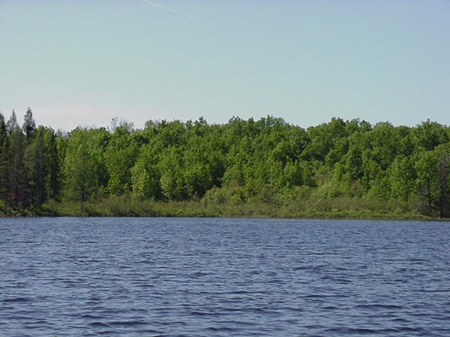 01minn032