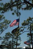 vet_042806_122