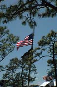 vet_042806_123
