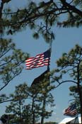 vet_042806_124