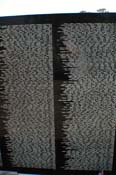 vet_042806_142