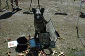 vet_042806_145