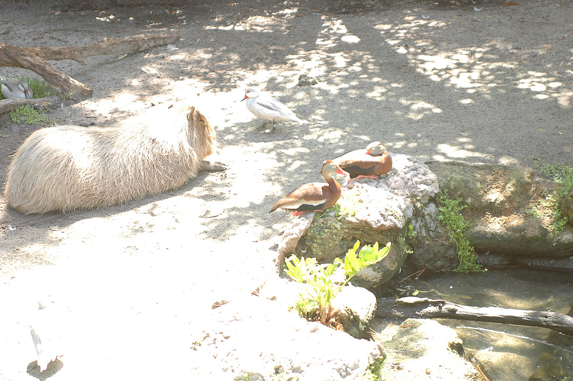 19june2006_049