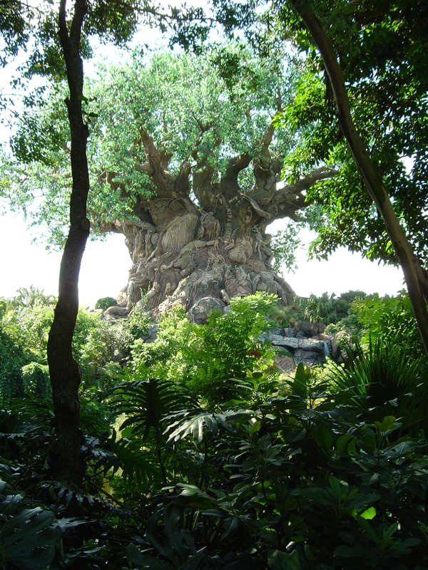 animalkindom04 021