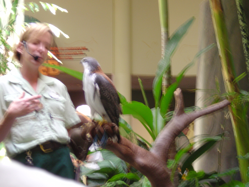animalkindom04 028
