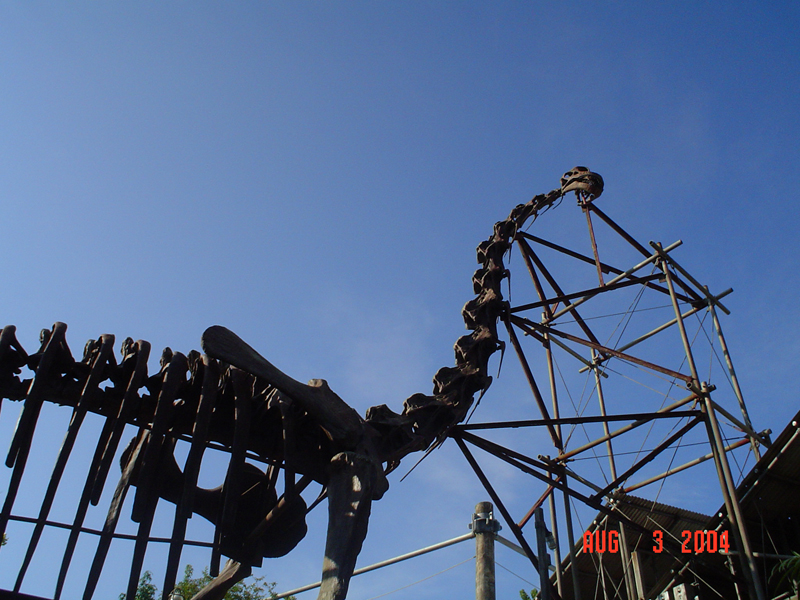 animalkingdom04 012