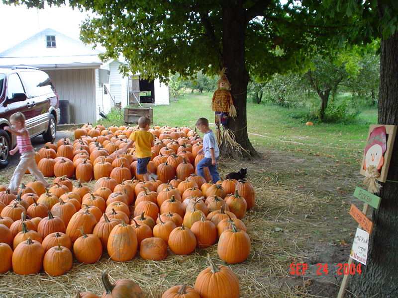 24sept04054