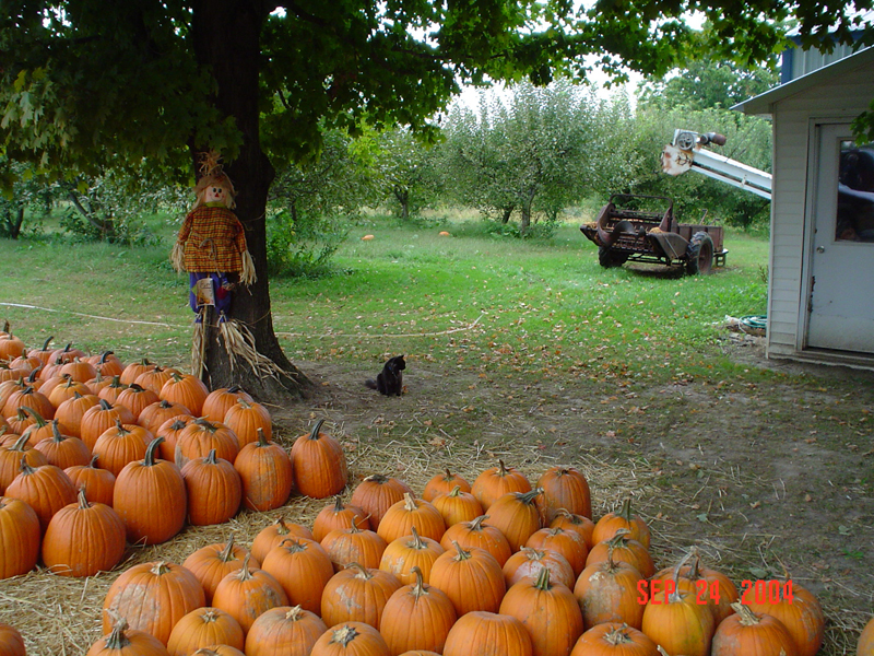 24sept04058