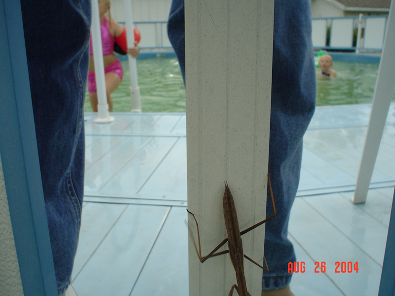 26aug04012