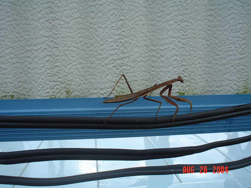 26aug04015