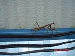 26aug04015