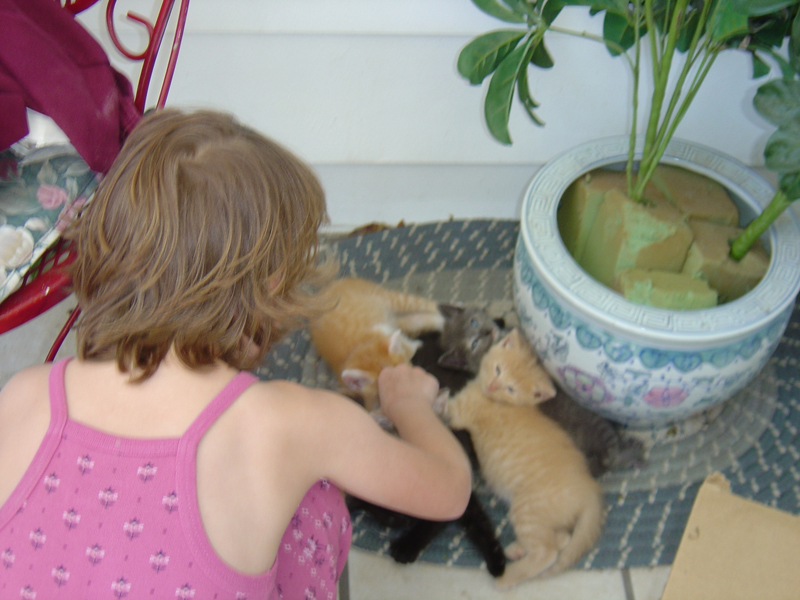 kids036