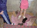 kids016