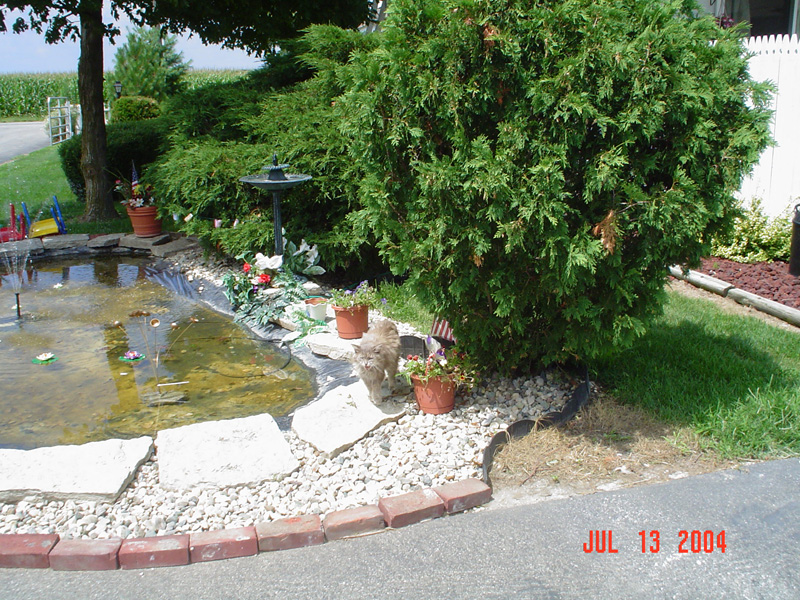 july_04_027