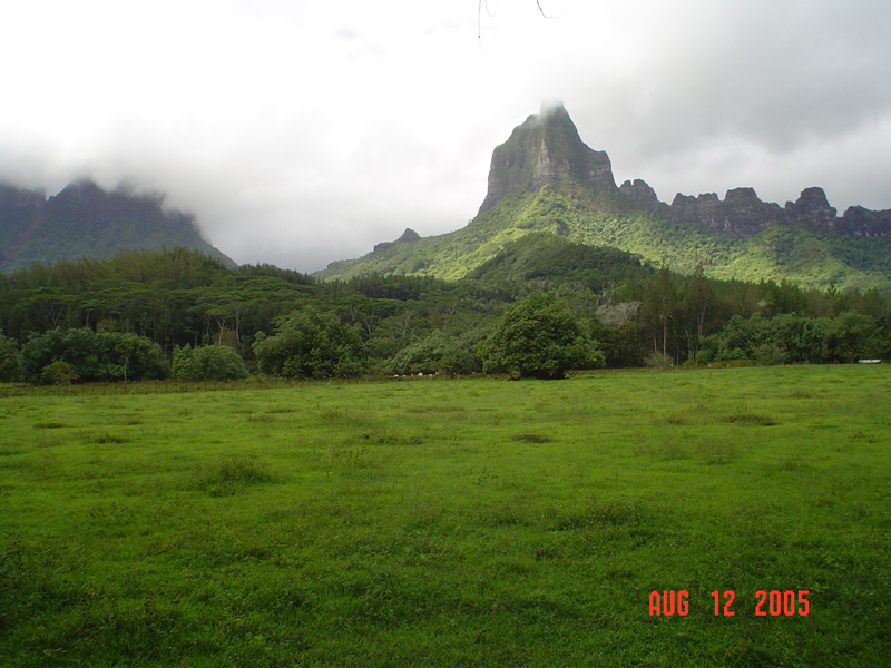 mom_dad_tahiti_2005_168