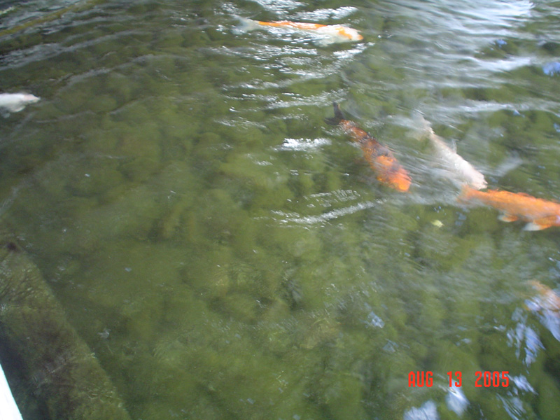 mom_dad_tahiti_2005_218