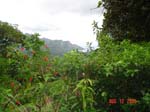 mom_dad_tahiti_2005_177