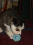2007_cormicans_043