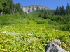 2012_0907_mtrainier_sunrise_0233
