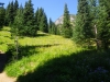 2012_0907_mtrainier_sunrise_0271